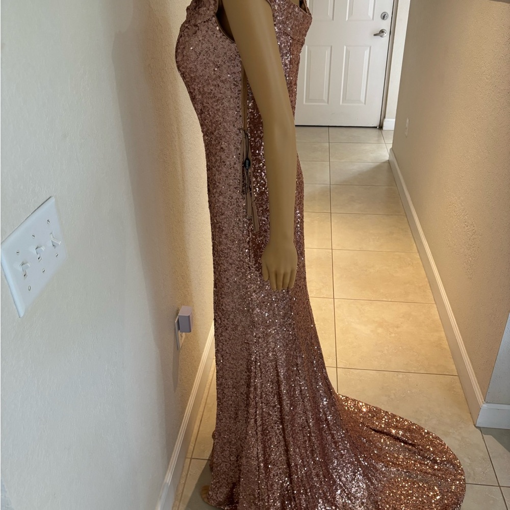 Clarisse Blush Evening Gown